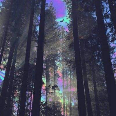 hth·华体育APPapp下载